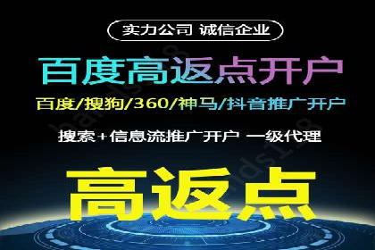 SEO与百度广告的结合：双管齐下的推广案例